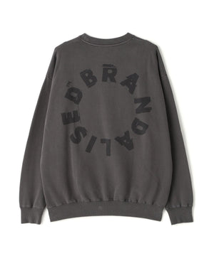 a67f6902-c4ca-5073-99b5-83e6f67a2154_Image