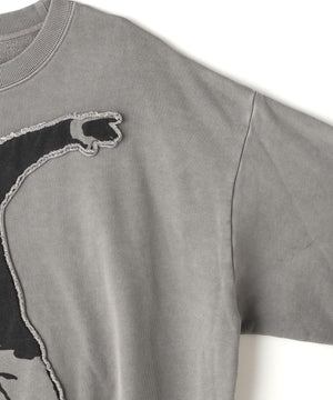 7a422773-cdea-548d-8eaf-a84f0996da03_Image