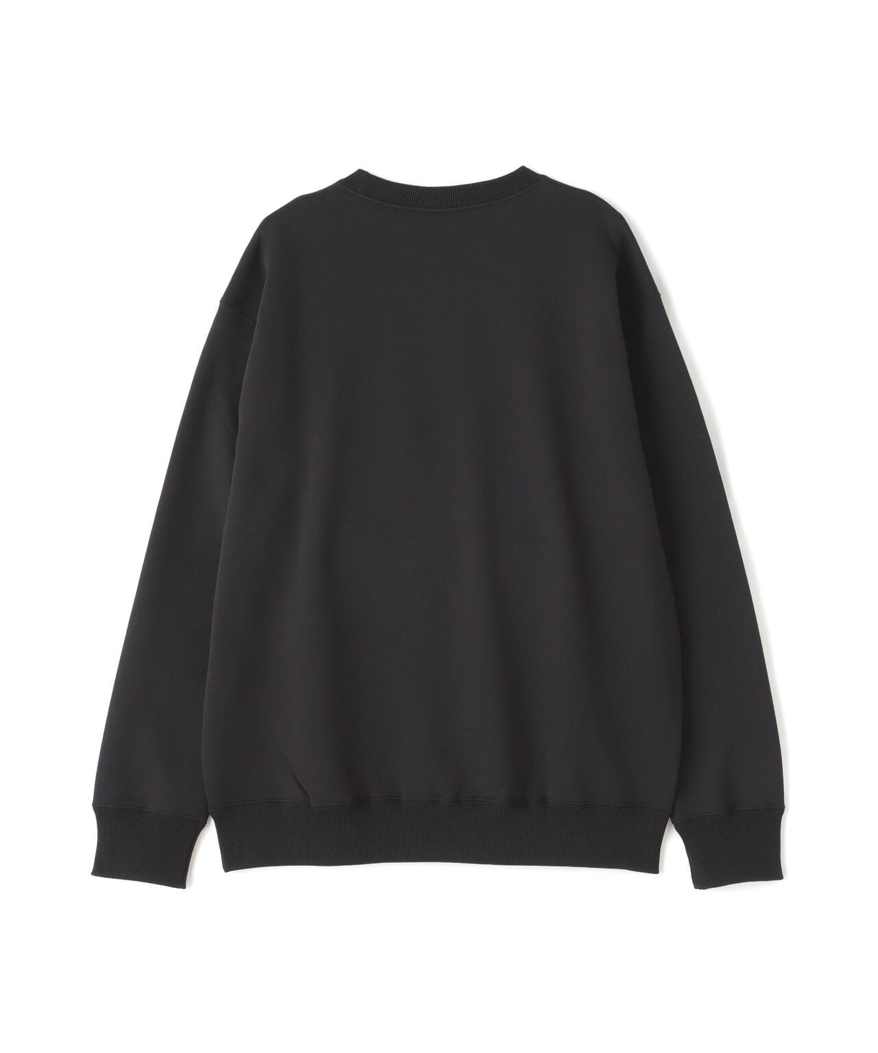 エルエイチピー（LHP）/THE NORTH FACE／ザ・ノース・フェイス／Small Logo Heather Crewn THE NORTH FACE/ザ・ノース・フェイス/SMALL LOGO HEATHER SWEAT CREW