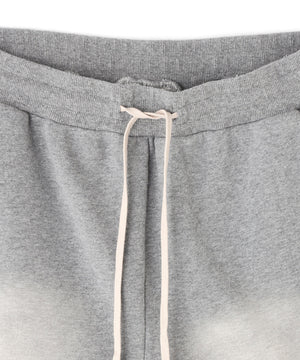 42444625-93e5-5c59-841e-e5fba1cb9338_Image