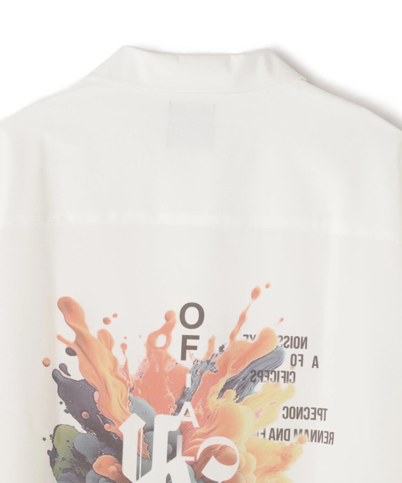 6cbad83a-1517-54a6-850a-5c56f159910a_Image