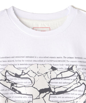 1bc0feeb-33dc-500c-8806-3aea4c902e39_Image