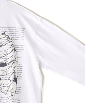 4a1669ec-8e83-565b-9c53-a04d49556794_Image