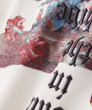 45fdb3ba-6e25-53b6-bf8d-a93cc2152d58_Image