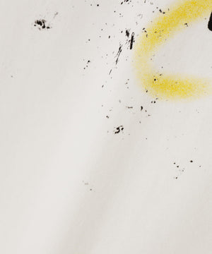 588e8582-0c03-55fa-9b18-95389723643e_Image