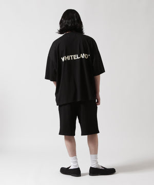 480c9231-518c-5b34-9e87-4361ff6955cc_Image