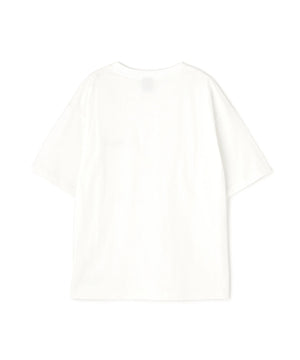 aa6be866-9964-51bb-bd42-bd04db0f4555_Image