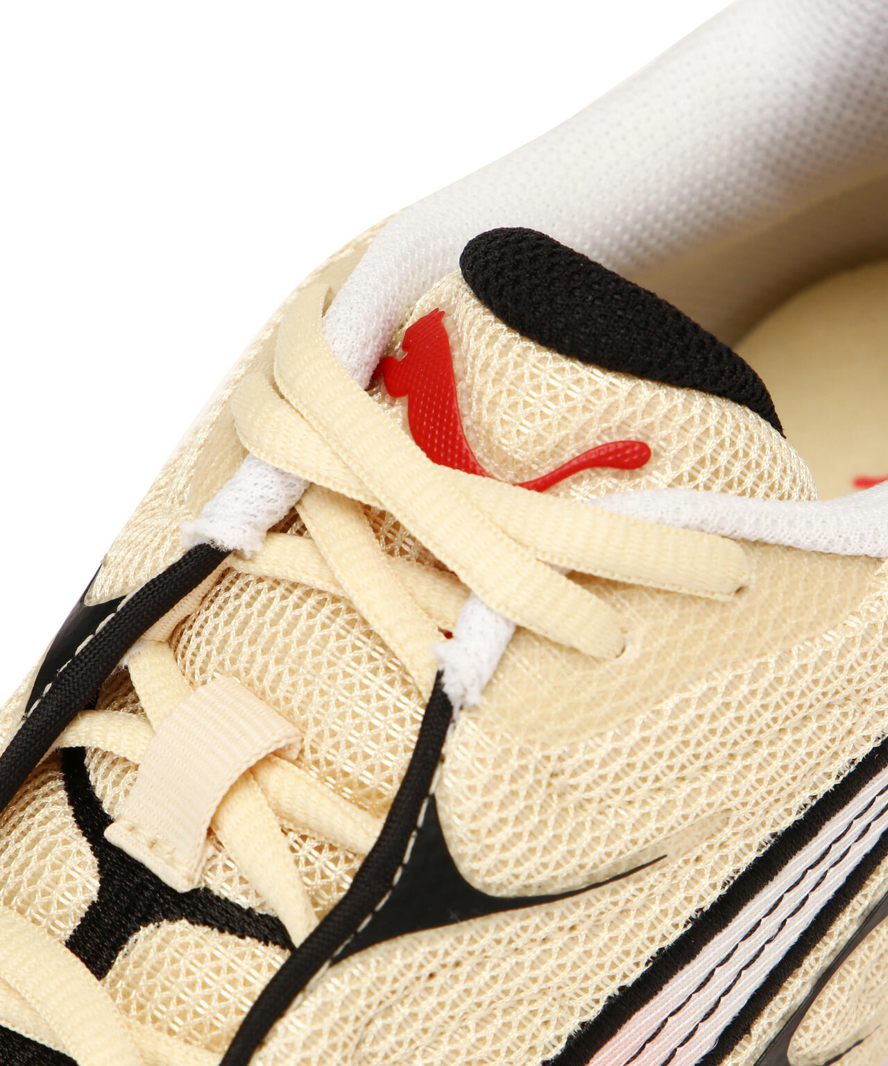 4dbc263c-699e-5237-b95e-3e533c3a7fa6_Image