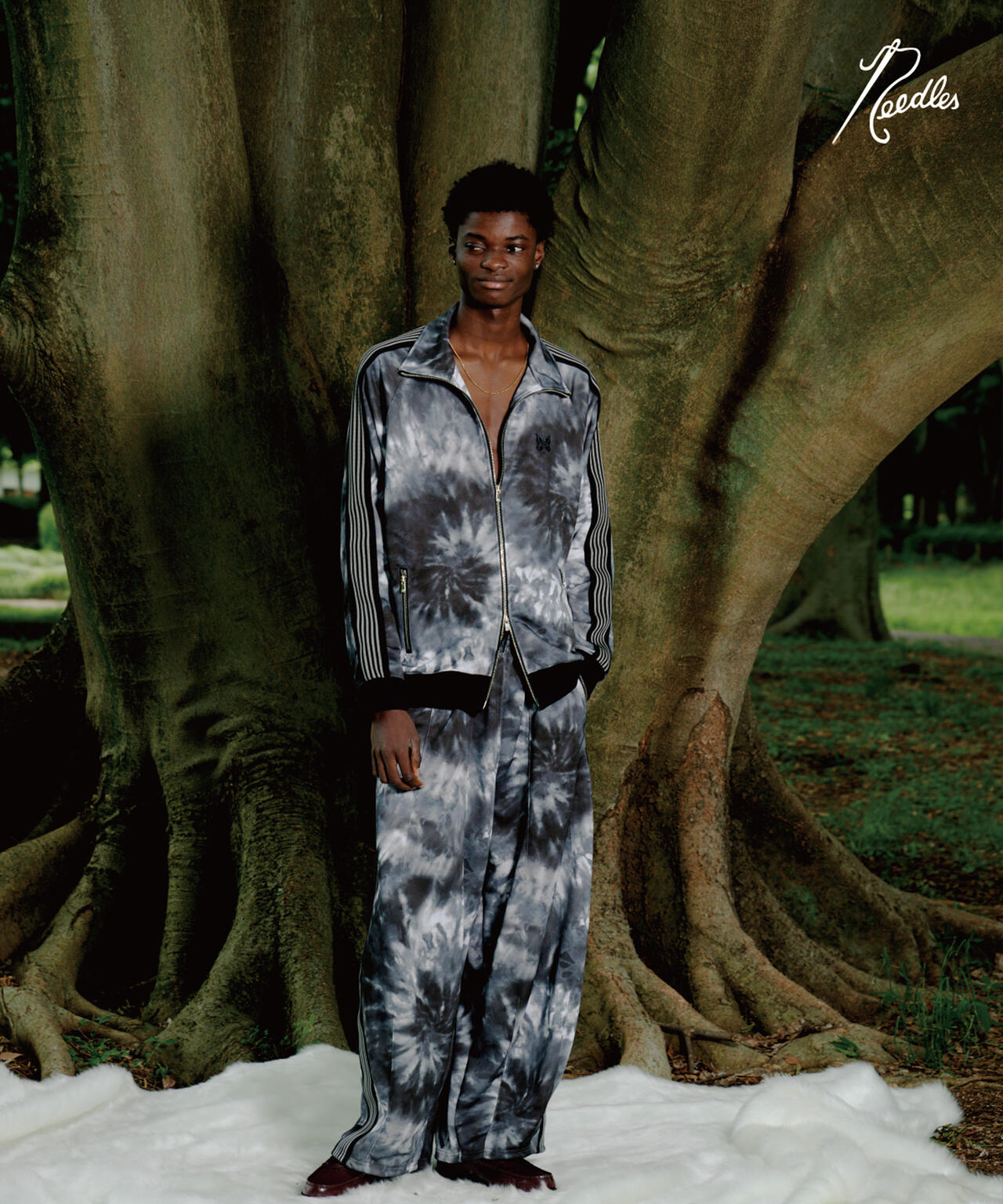 2bd30dd4-ff23-572f-baef-7aff17835908_Image