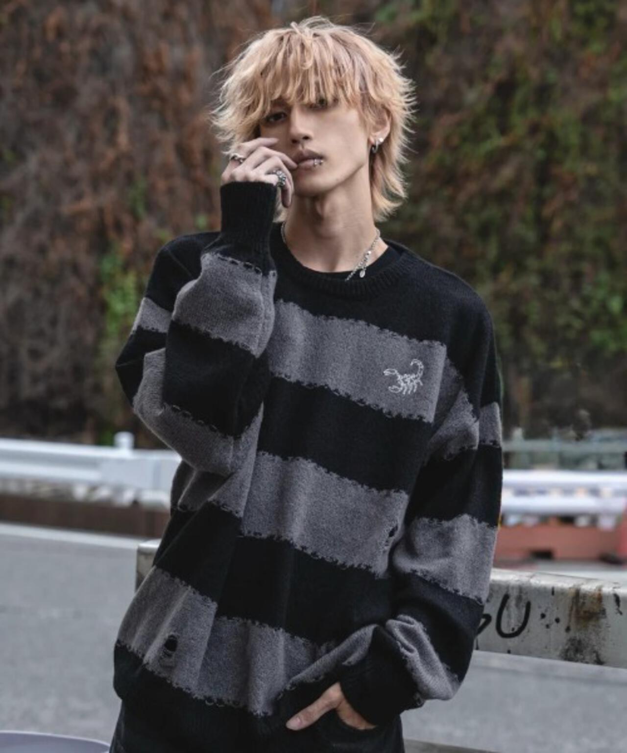 gibous/ギボス/scorpion border knit | L.H.P（エルエイチピー