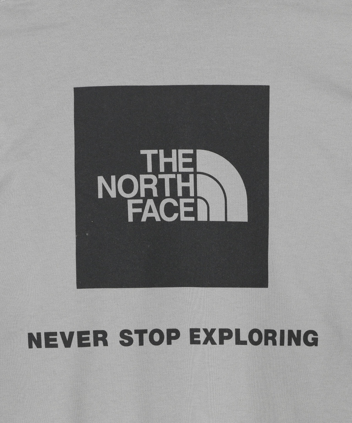THE NORTH FACE/ザ・ノース・フェイス/Back Square Logo Hoodie