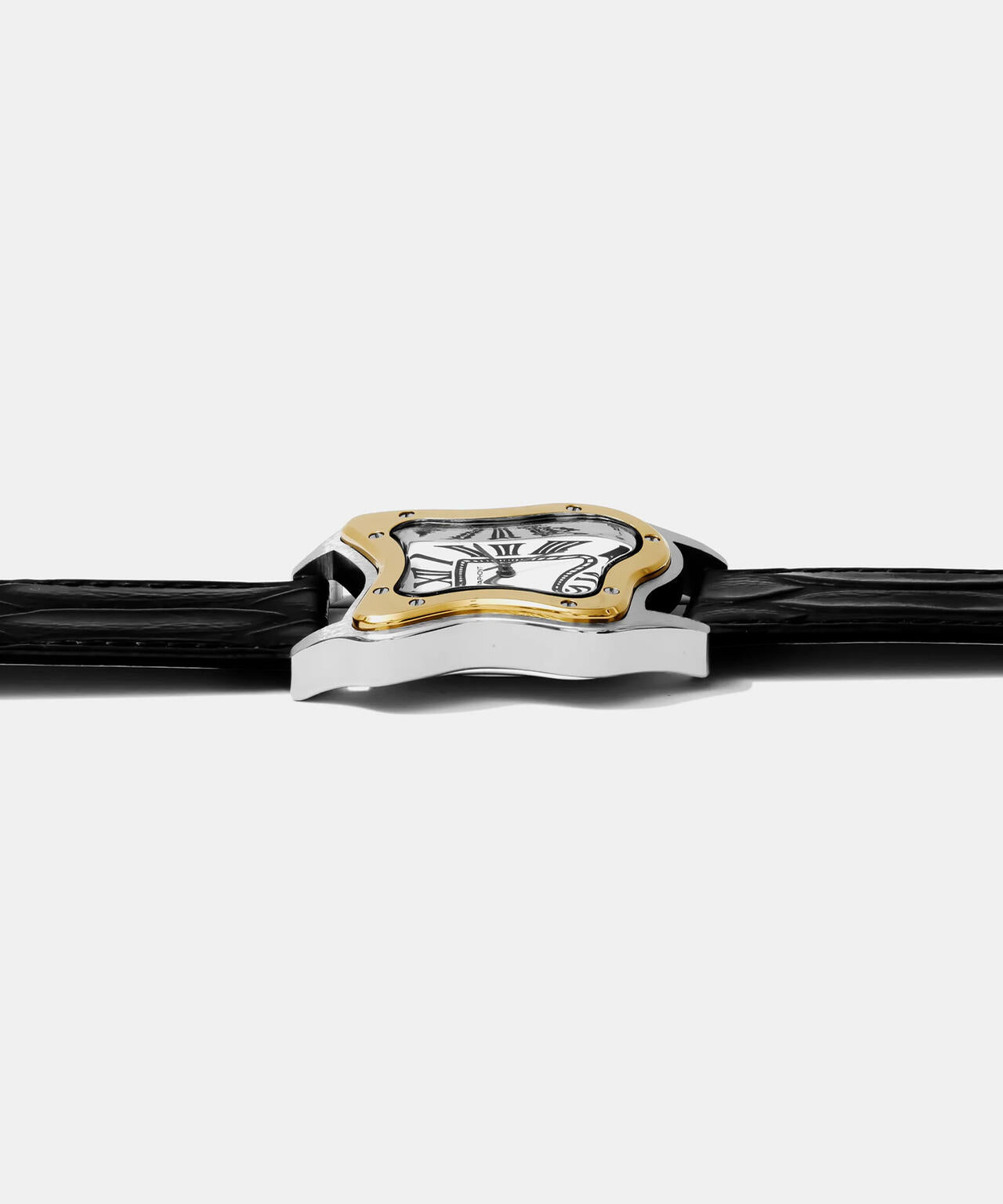 LAPHONT/ラフォン/Laurent Large Two-Tone Watch | L.H.P