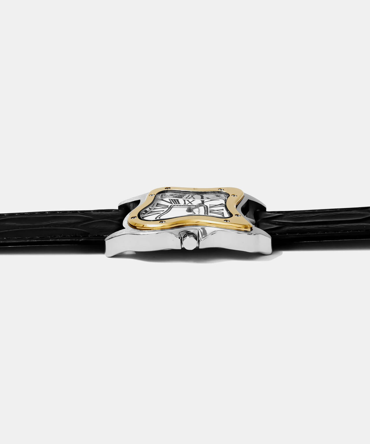 LAPHONT/ラフォン/Laurent Large Two-Tone Watch | L.H.P