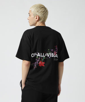 acf93644-fb90-5874-806f-1d9c19099b71_Image