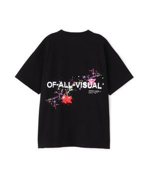 348df42e-5bcf-520a-a941-d9196ccc7941_Image