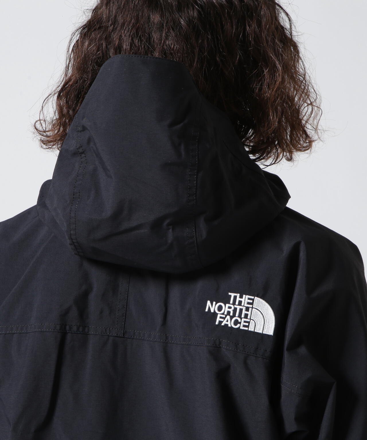 THE NORTH FACE(ザ・ノース・フェイス) Mountain Light Jacket