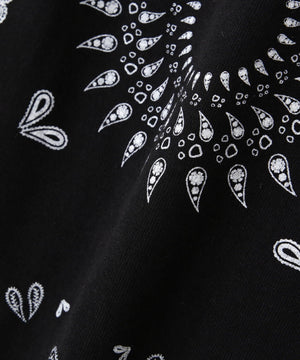 17a6a55d-ceba-5cd7-83db-a2f6dca902ce_Image