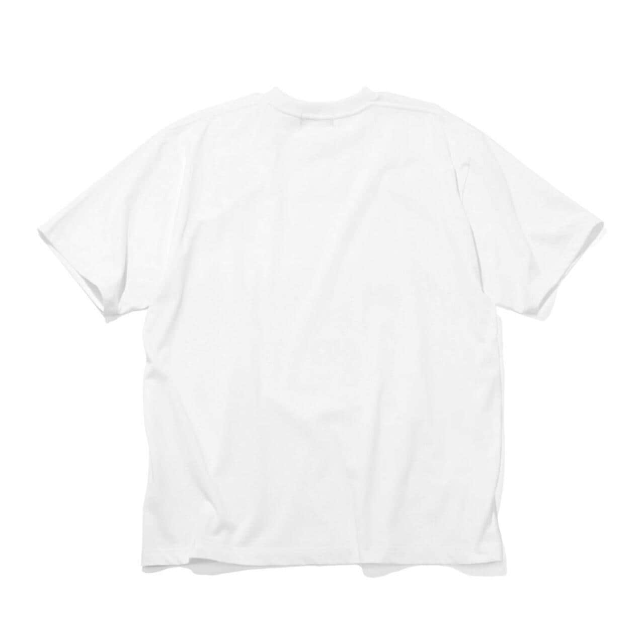 f19ad812-4f3c-5ef1-9abd-f8946e1c8516_Image