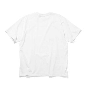 f19ad812-4f3c-5ef1-9abd-f8946e1c8516_Image