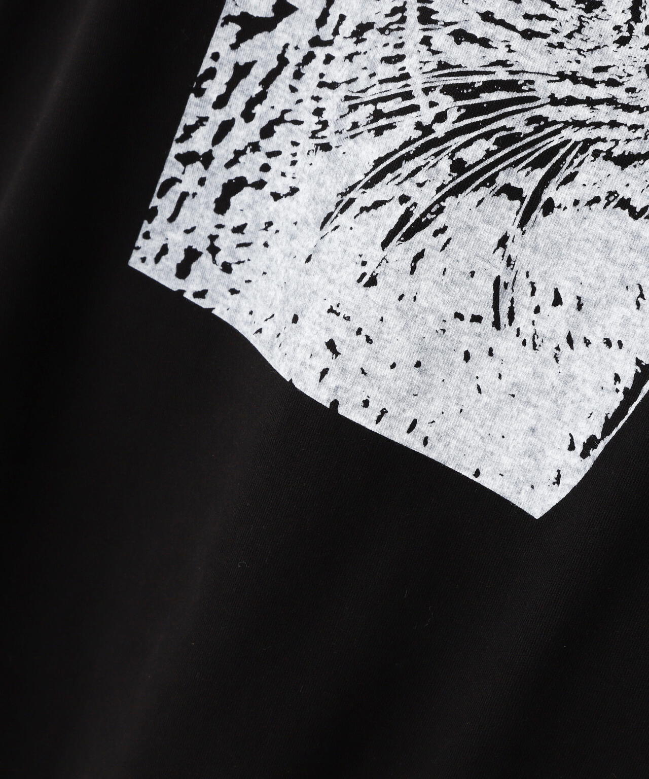 0a095a5a-3df7-5efb-93a3-b923b8f3758a_Image