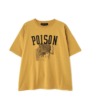 634b9672-cf6d-545f-ac99-e73e230195e4_Image