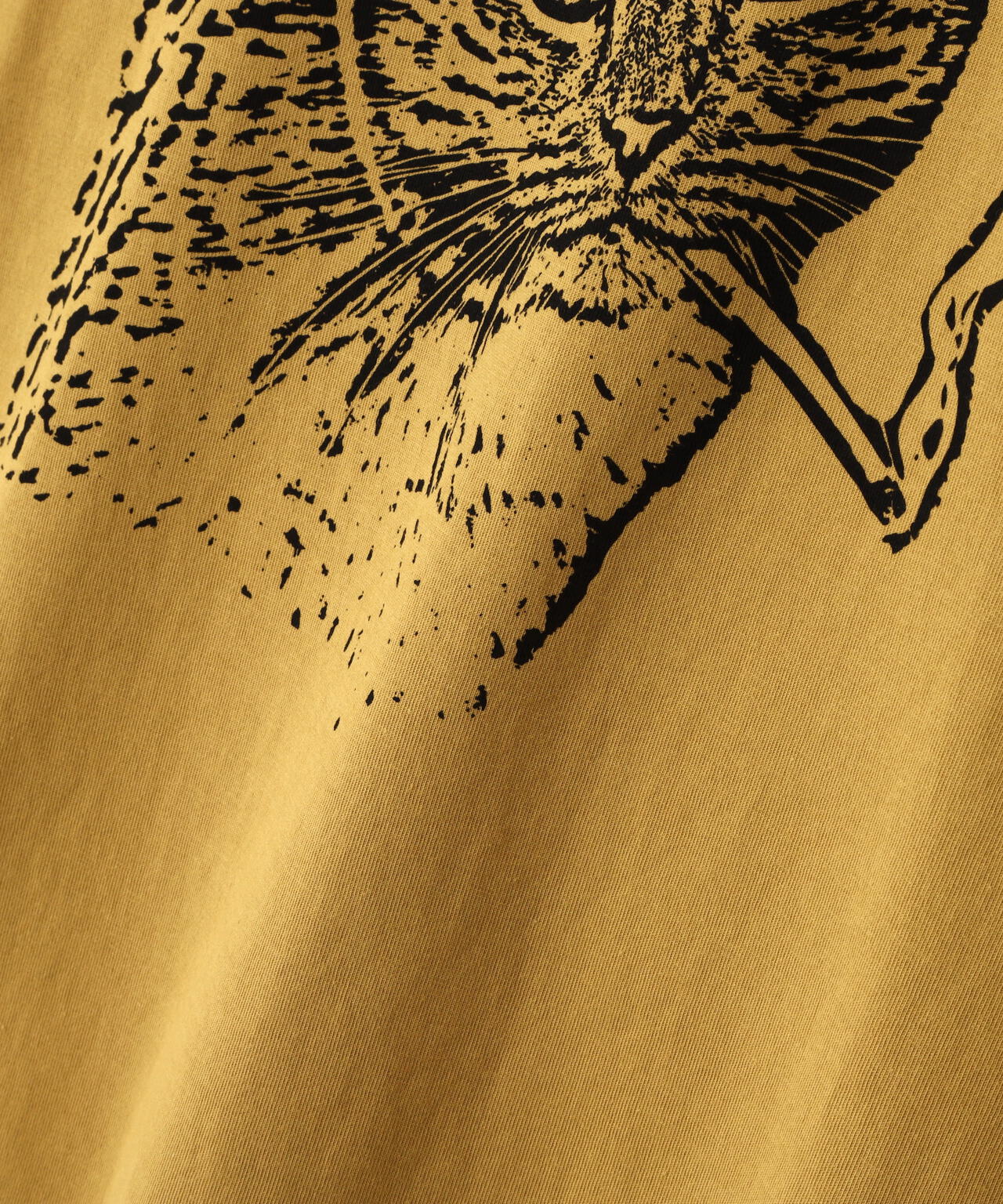 d19d4fd4-2d65-5f91-bc4c-9a09e2784052_Image