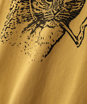 d19d4fd4-2d65-5f91-bc4c-9a09e2784052_Image