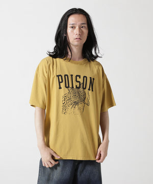 8741715f-eb9b-506b-ba1d-eb181d6aeab8_Image