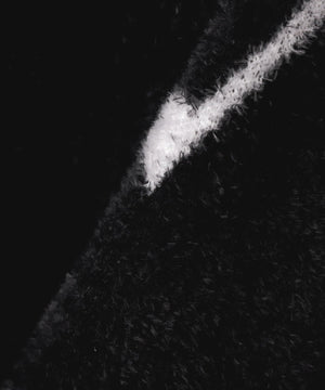 531022c1-f161-59e1-bd2a-199f27d31dc9_Image