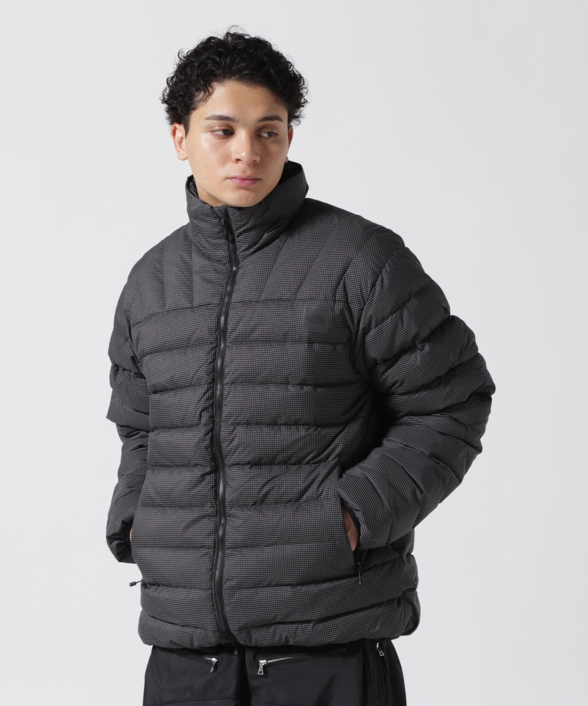 THE NORTH FACE / Enride convertible down jacket | B