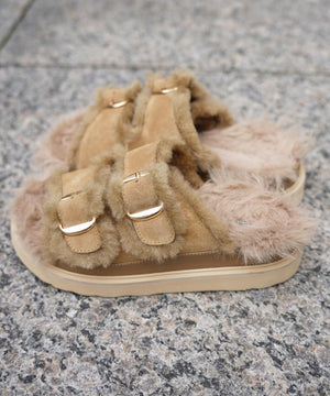 f7de5233-0510-582f-a27e-d3c043bf1ef3_Image