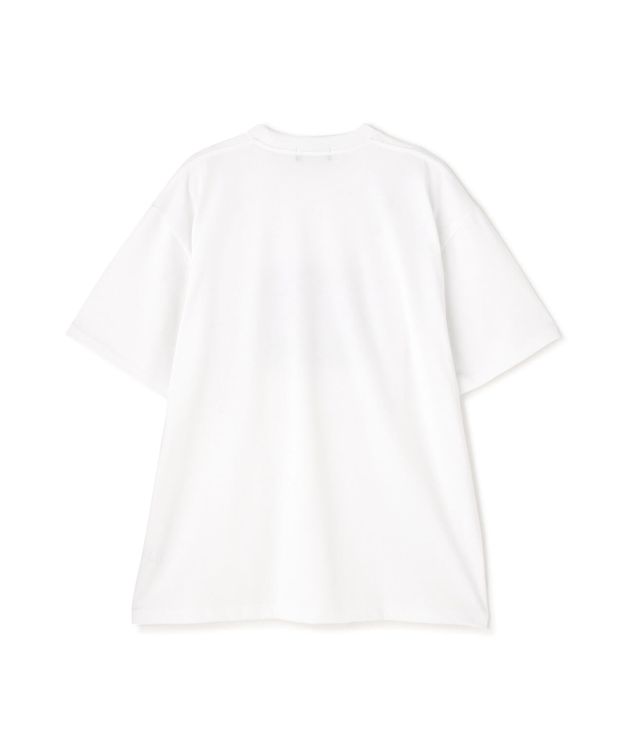 325d7782-5a11-5543-a363-487ee31e4059_Image