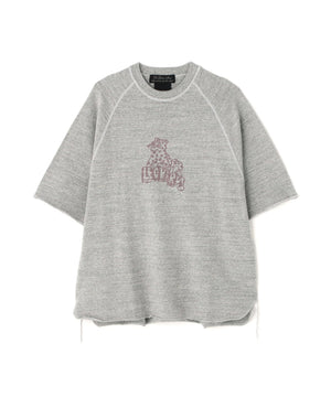 914b3a8f-bc9f-53f2-b512-e10e1a9c3b41_Image