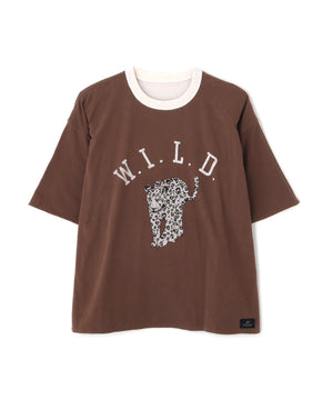 17adc9e2-60c7-5dee-9fc4-091c66a4bf98_Image