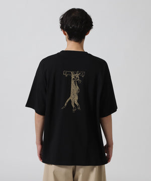 c0177b30-94b0-52c9-961d-d961d8d2e64f_Image