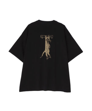 81ce0189-6d3b-5003-bf94-3f9bc161f44c_Image