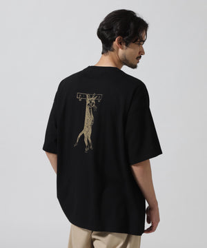 13524642-0cf5-5d93-b2ee-dfd66a76077f_Image