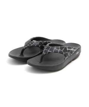 f97d7aad-d438-51ee-8dd1-df29a83fd174_Image