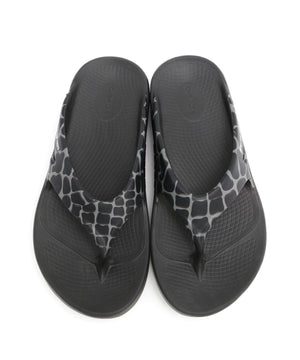 257e8726-b1f5-5b33-99a9-e41663d28d9c_Image