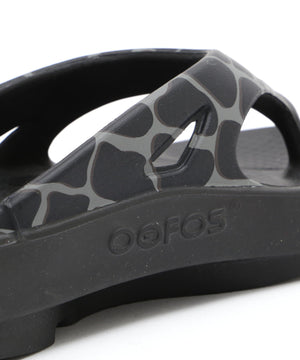 2ca58c15-1512-5f0e-8bc7-f22517acce15_Image