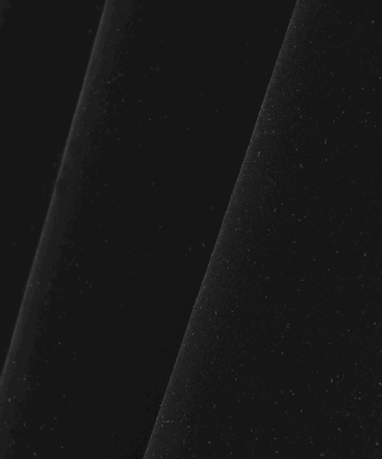 AULA AILA（アウラ アイラ）別注ハイネックベロアTOPS