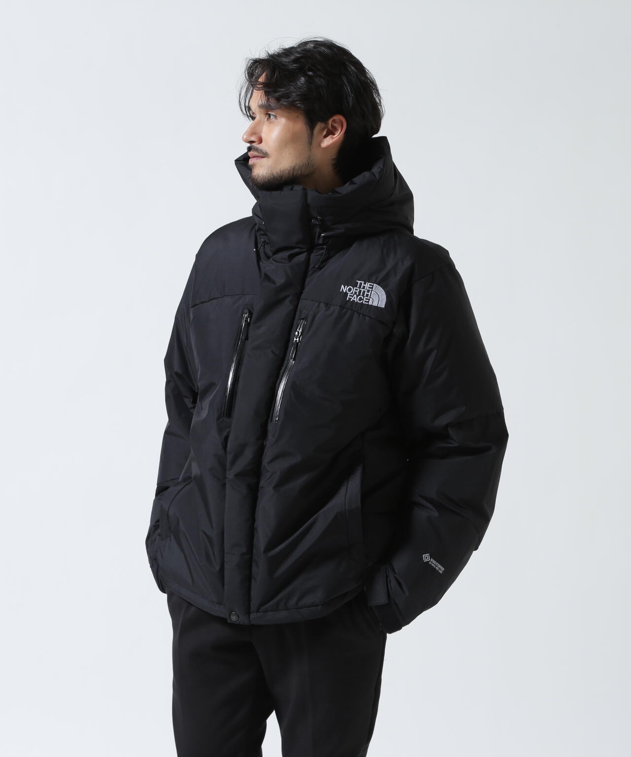 THE NORTH FACE / Baltro Light Jacket ND92551