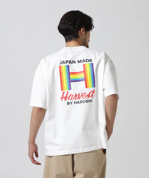 d7ed0eac-b794-5d66-aee4-212fff043b0a_Image