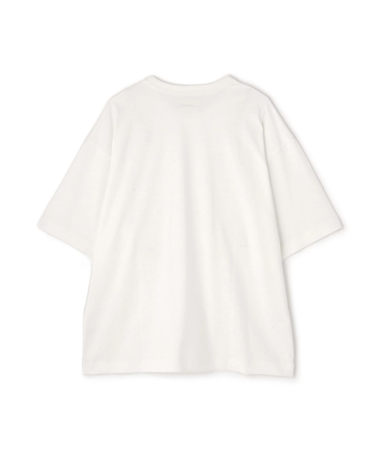 d446fa8e-5330-56d2-8eb9-548990287de8_Image