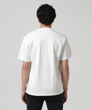 31512266-c37a-5acb-8c11-0362c6a1829b_Image