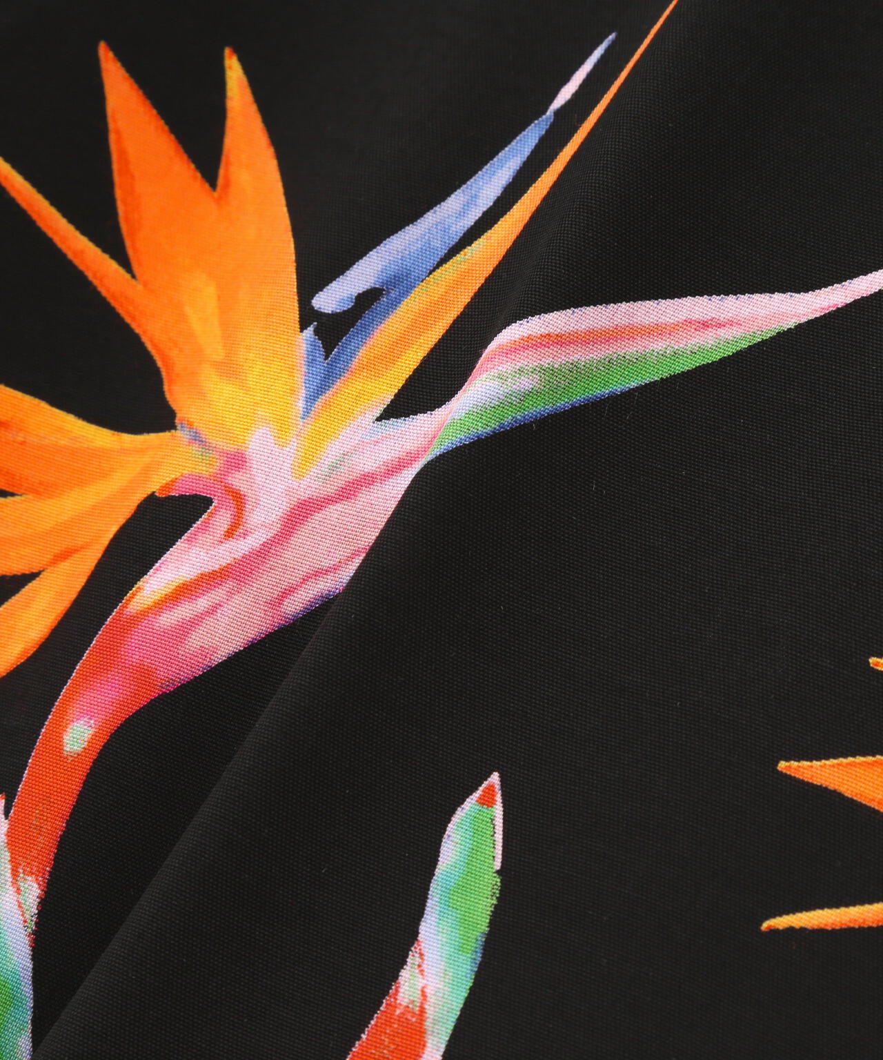 Aloha Blossom/アロハ ブロッサム/BIRDS OF PARADISE | ROYAL FLASH