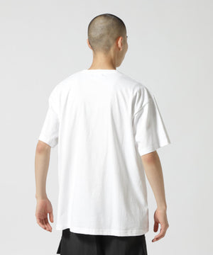 88b28b52-569d-5dfa-9464-ceba20f31556_Image