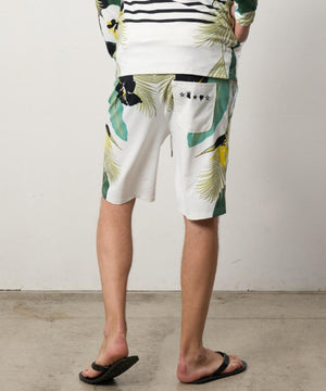 5331de5f-9fea-50aa-a3e7-88aba2aa6de9_Image