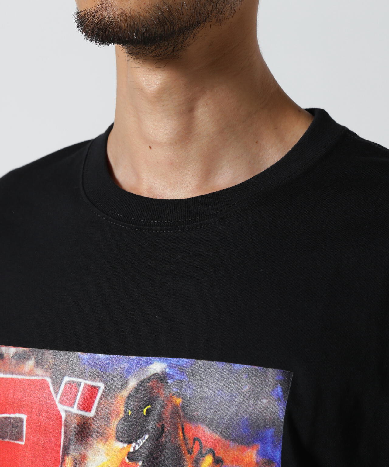 Guernika×Godzilla/ゲルニカ/PRINT T SHIRT/GODZILLA | ROYAL FLASH