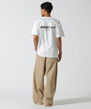 11c157bf-e0d9-58f8-bc82-9360eb1ea133_Image